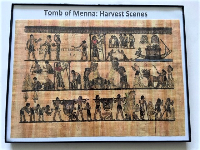 Tomb of Menna: Harvest Scenes Recreation - Click Image to Close